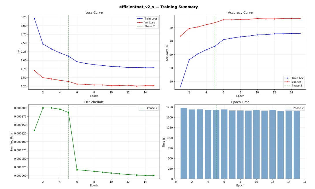 EfficientNet Training Analysis